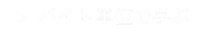 バイト単位で学ぶ